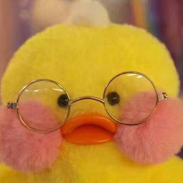 물개쨔응 프로필