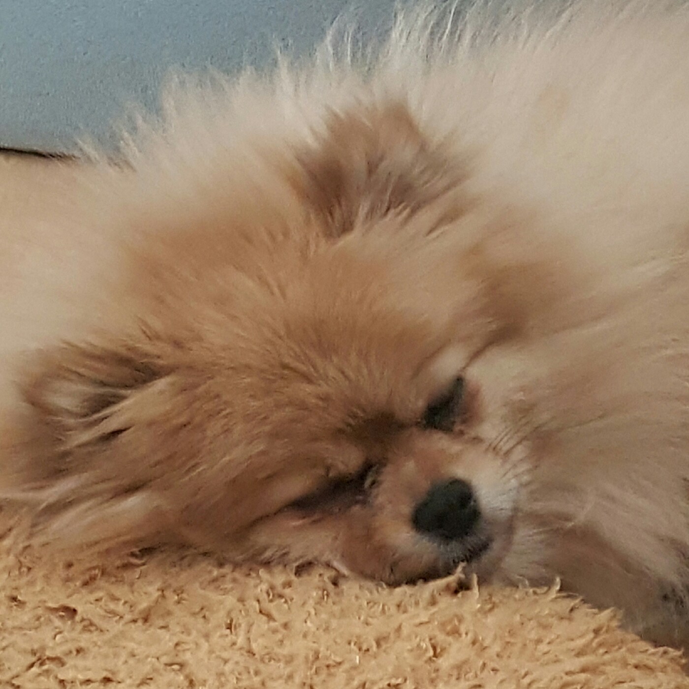 oiowe 프로필