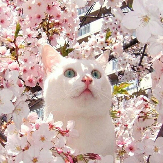 hajean 프로필