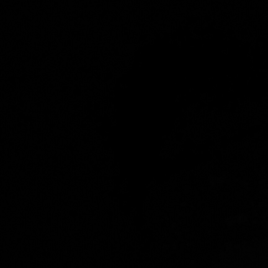 햄선생 프로필