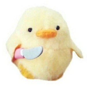 정뉴랑 프로필