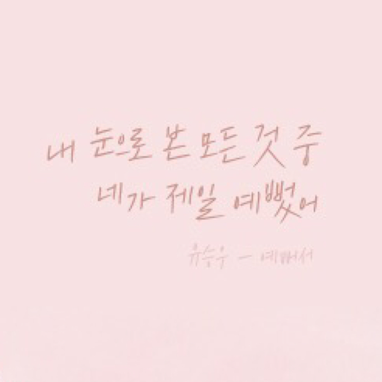 꿀뷰 프로필