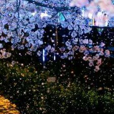 hjy0510 프로필