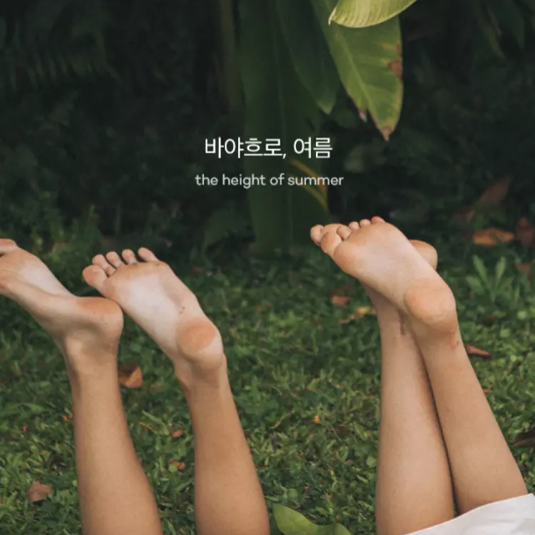 모모비 프로필
