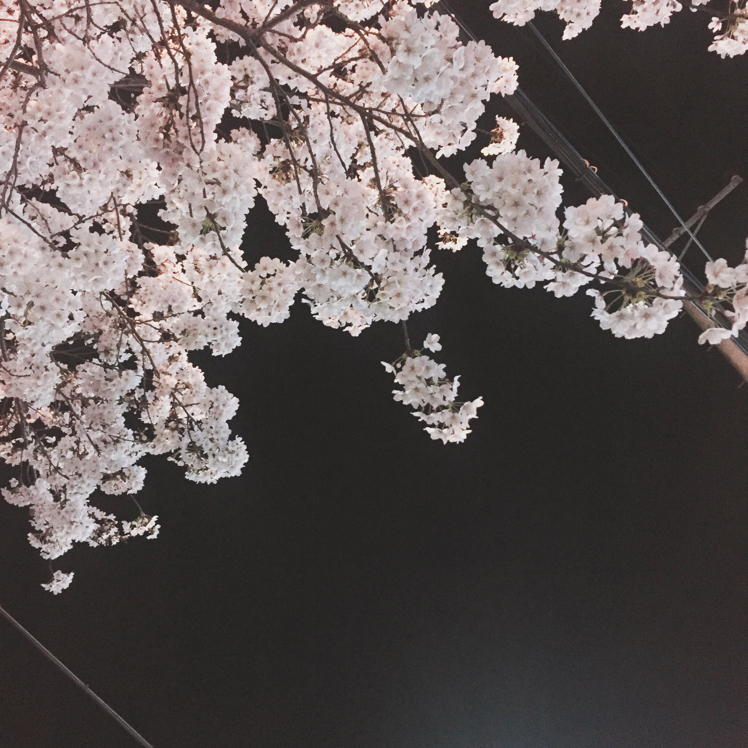 민오 프로필
