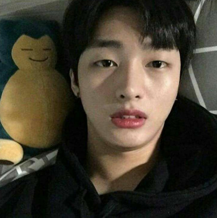 프듕 프로필