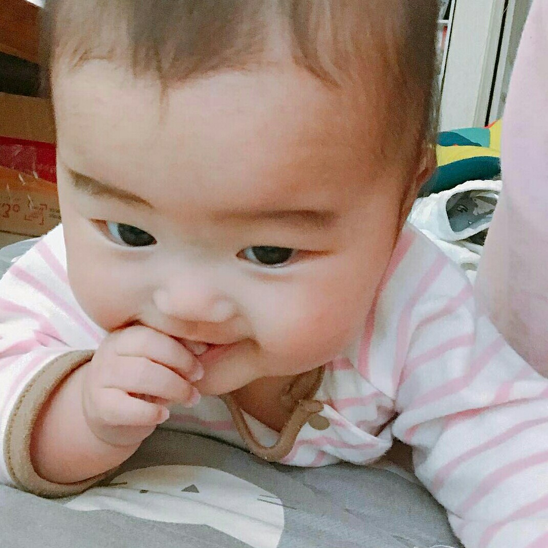 게르미 프로필