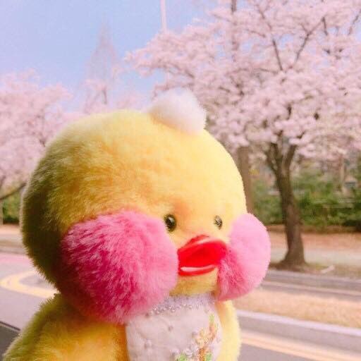 소이빈 프로필