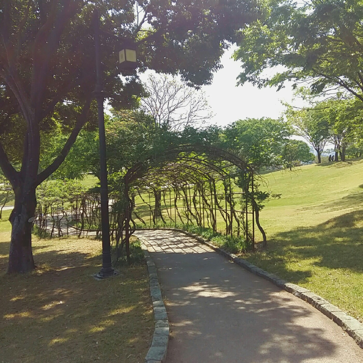 haapy민정 프로필