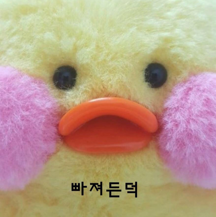 p12ii 프로필