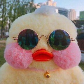 빵빵덕사루메 프로필