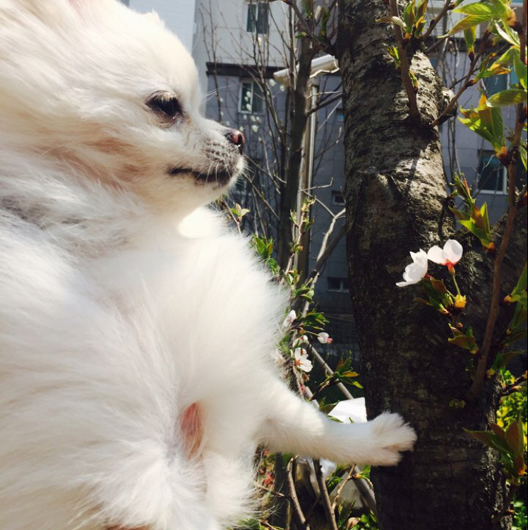인썸머 프로필