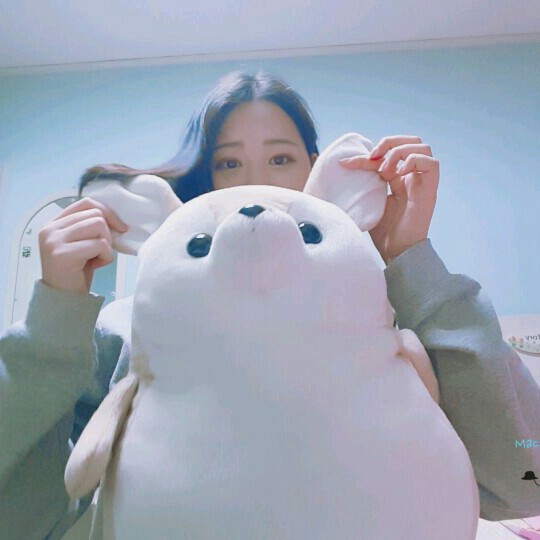 김볼암 프로필