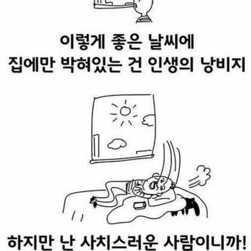 리뷰어 프로필