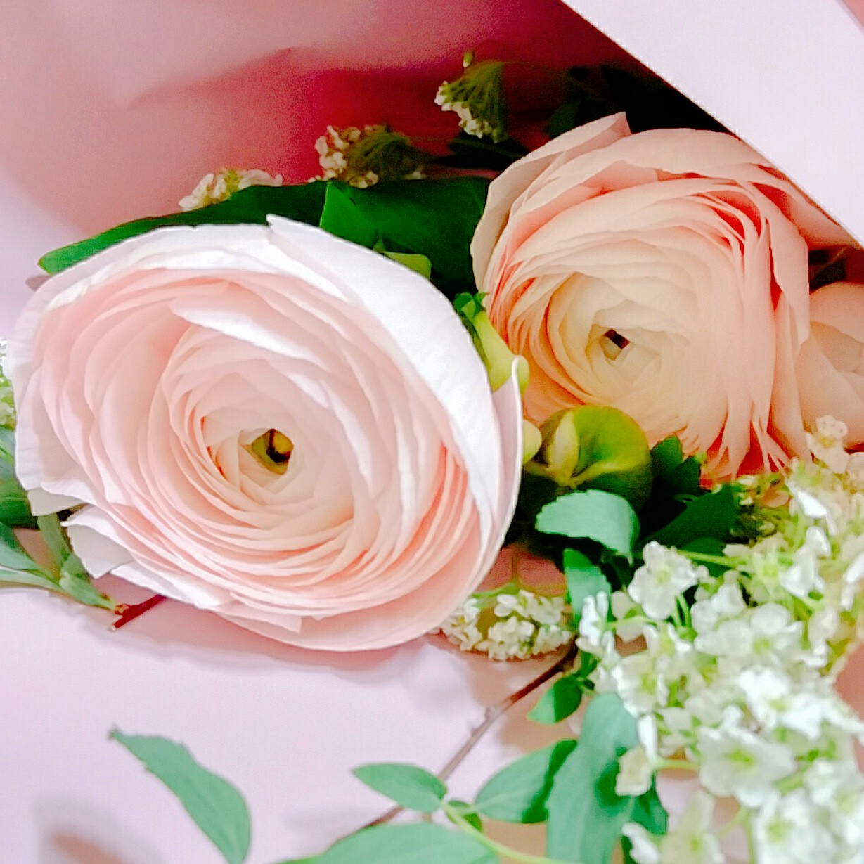 리뷰어 프로필