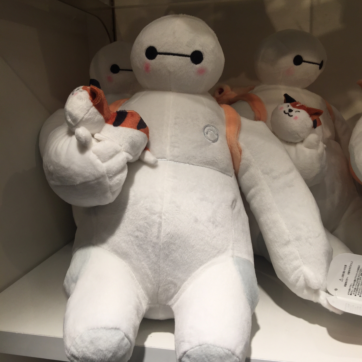 이틀째밤 프로필