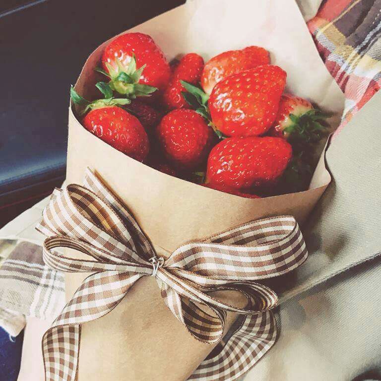 욥언 프로필