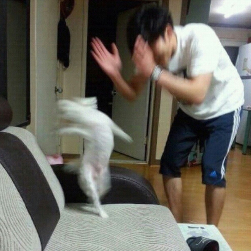 피부갑질쩌는애 프로필