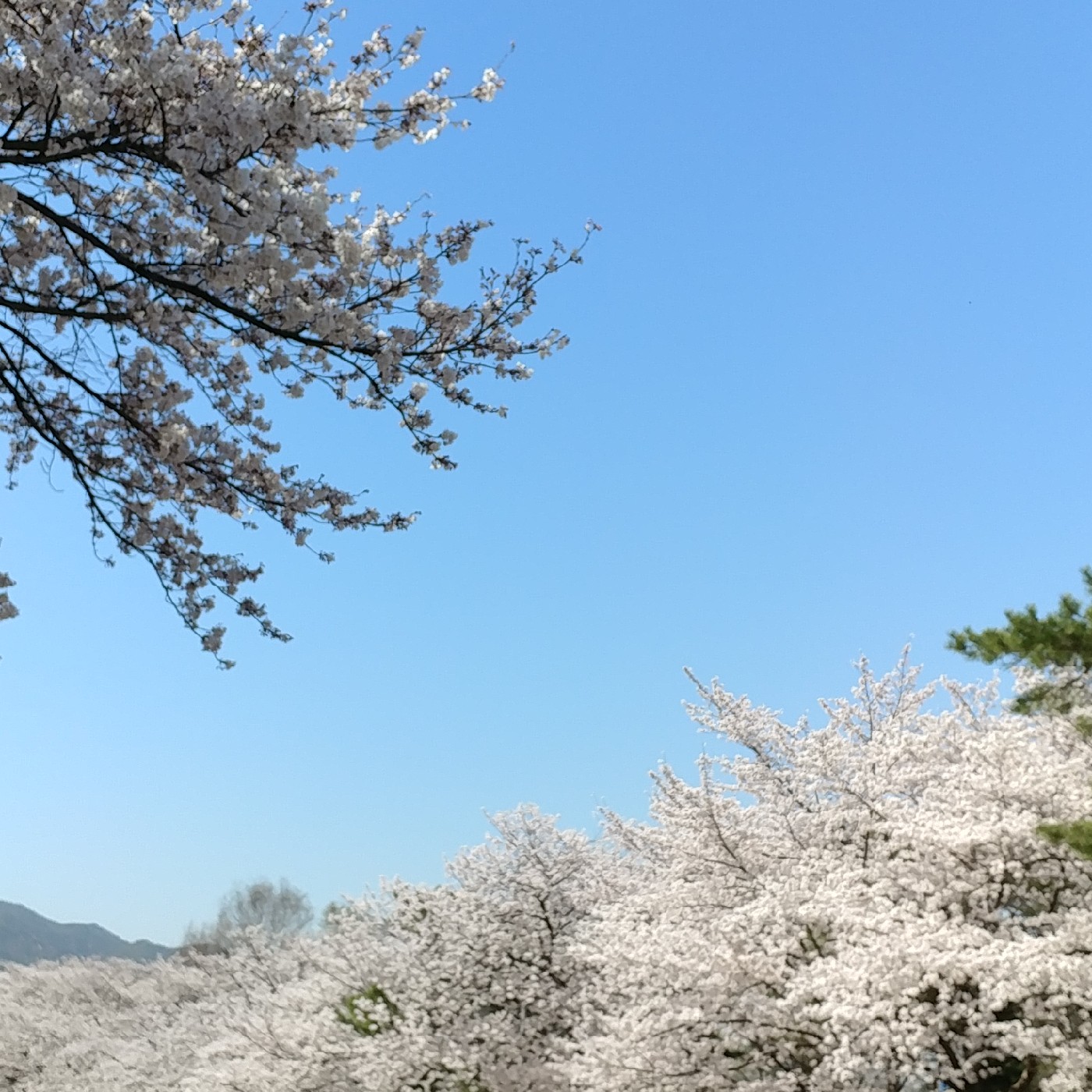sweetys09 프로필