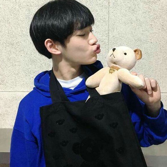 웅이가젤루조아 프로필