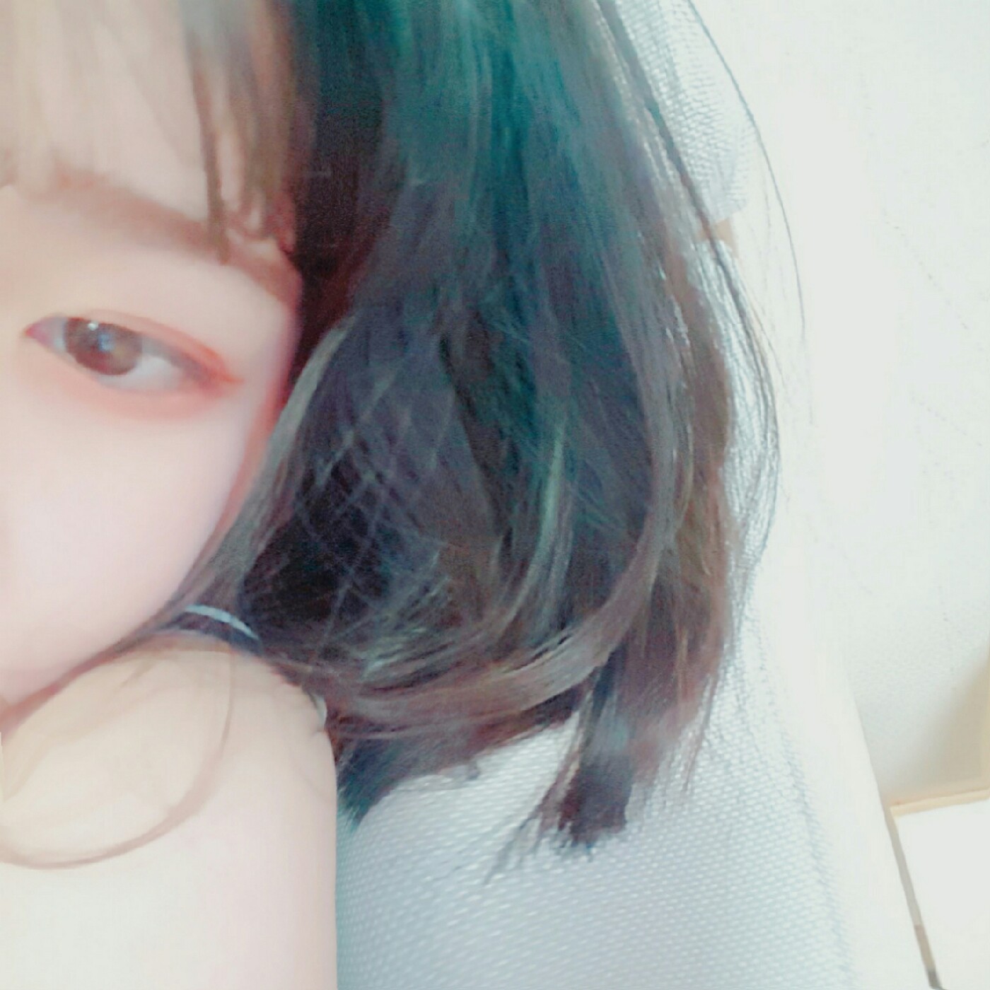 미뇽롱 프로필