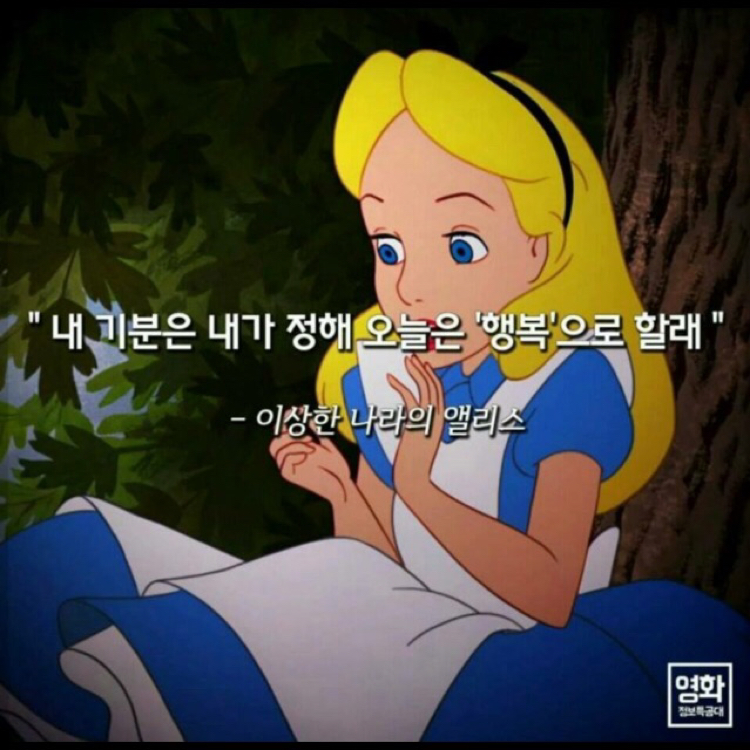 꿘다 프로필