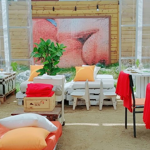 자몽라임 프로필