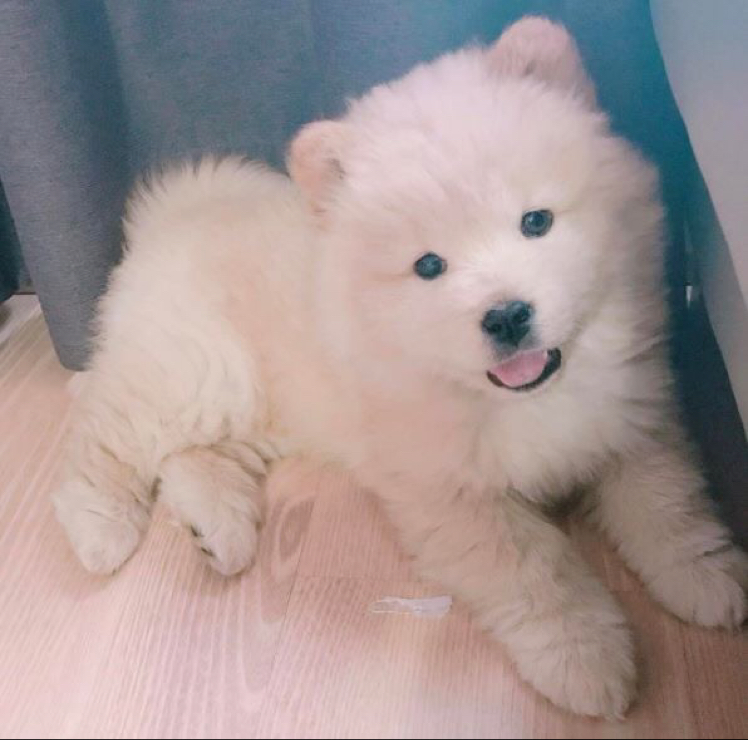 오비 프로필