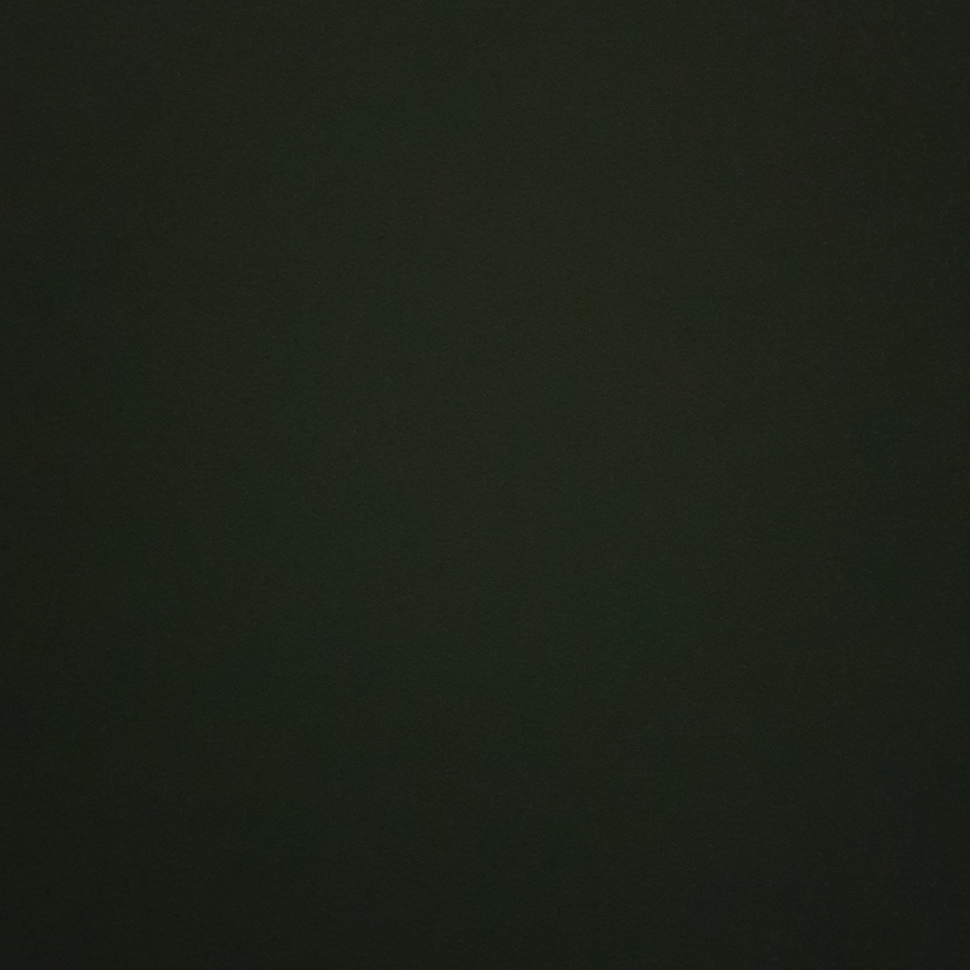나초 프로필
