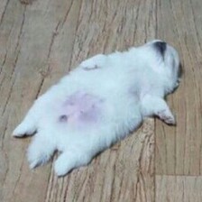 어만지면위험 프로필