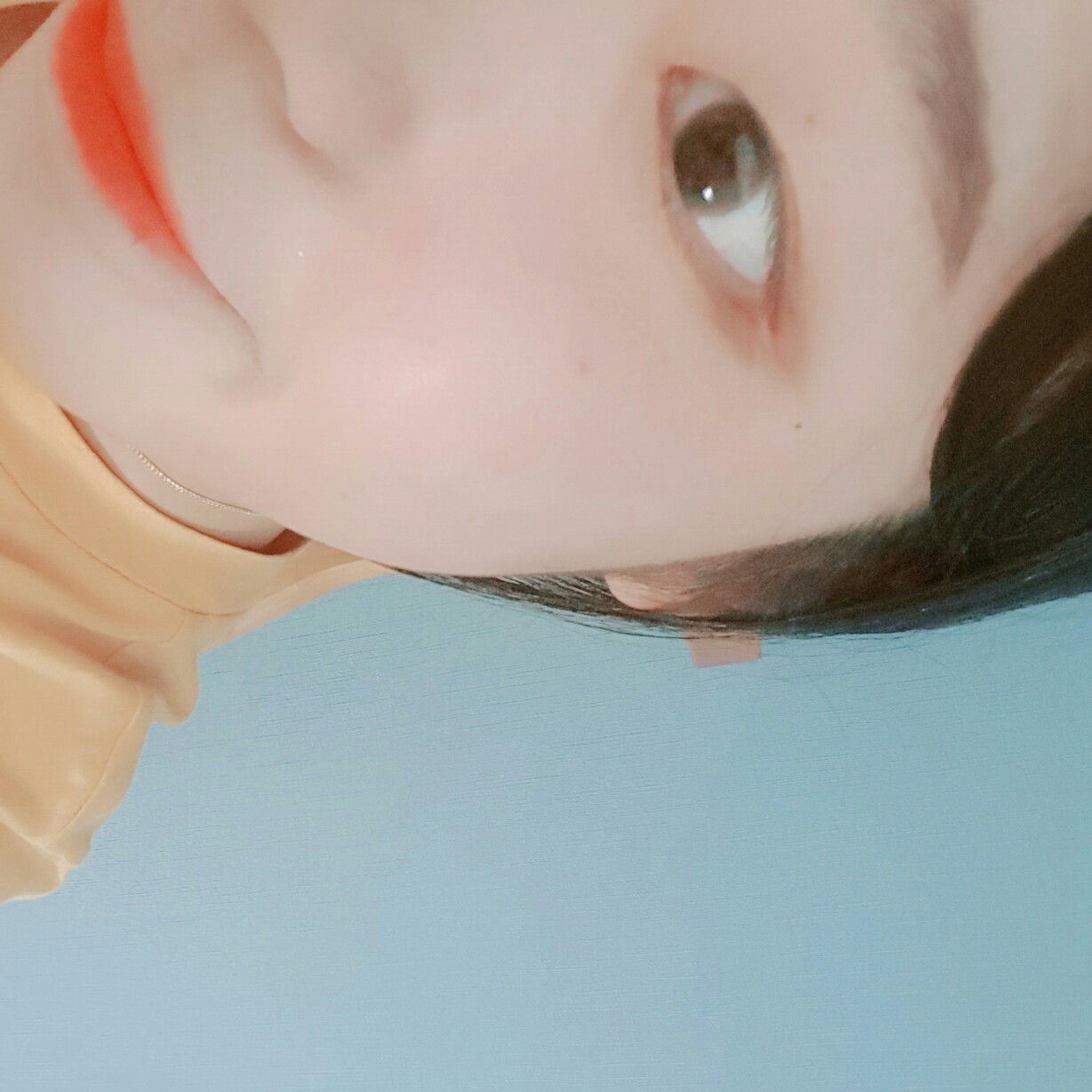 옌니님 프로필