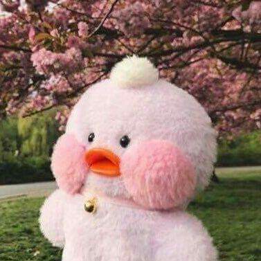 사과뭉 프로필