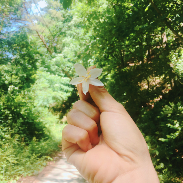 누텔라듬뿍 프로필
