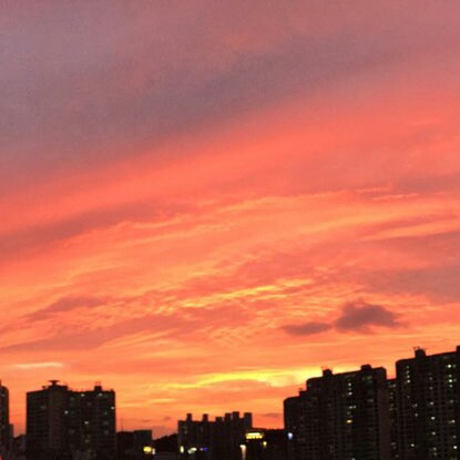 구릉이 프로필