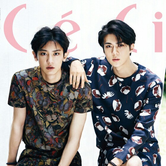 PCYEXO 프로필