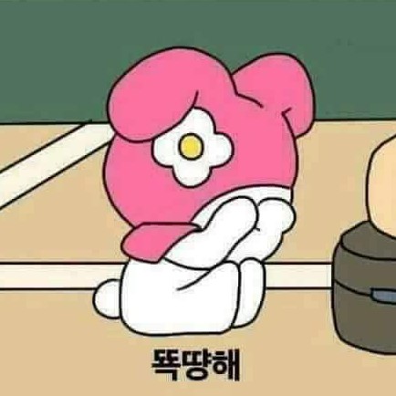 뚀끼 프로필