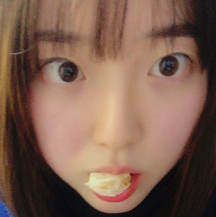 모죵 프로필