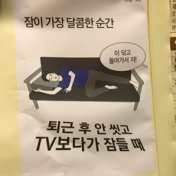 zzzo 프로필