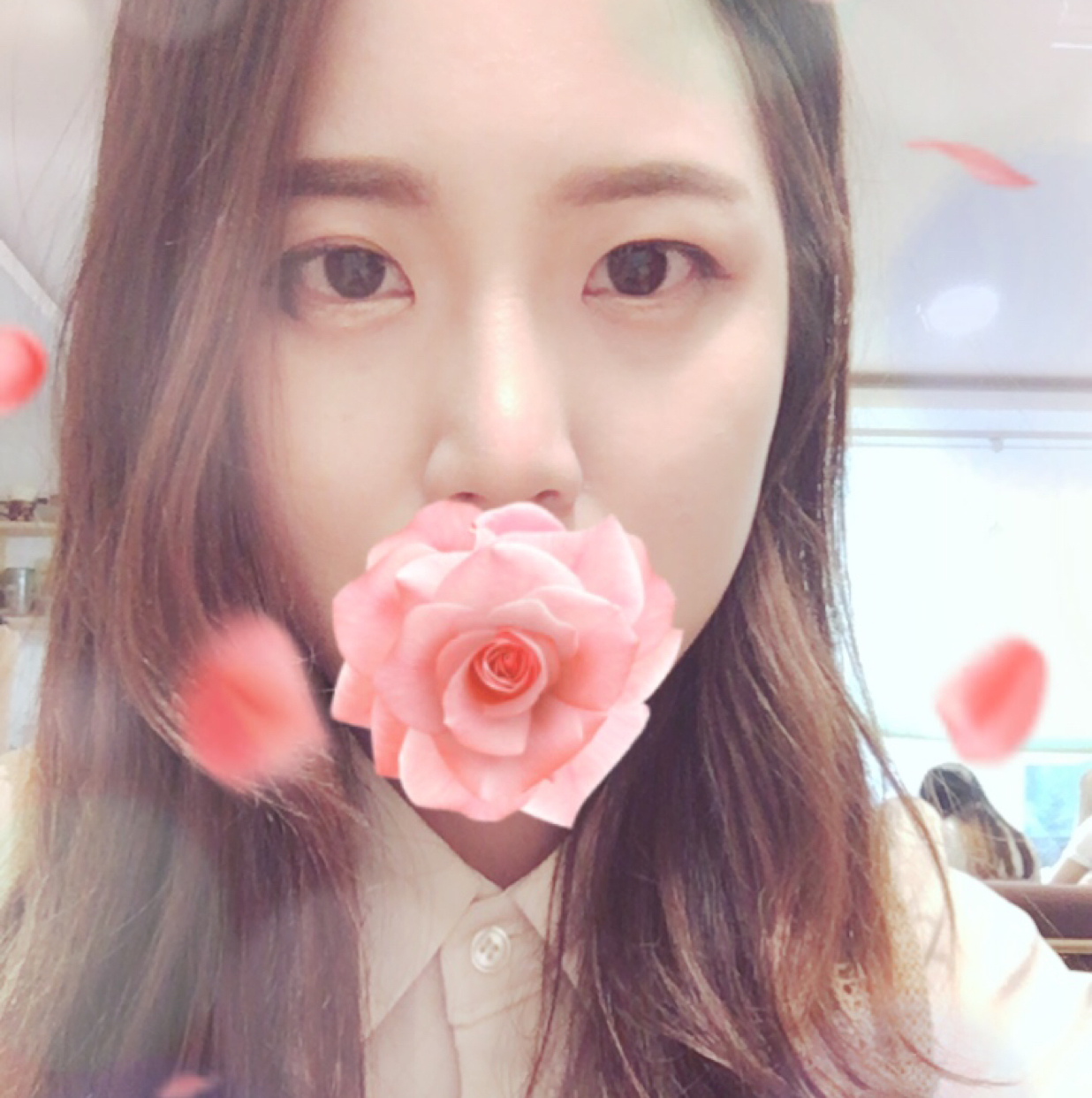 뽀로리리 프로필
