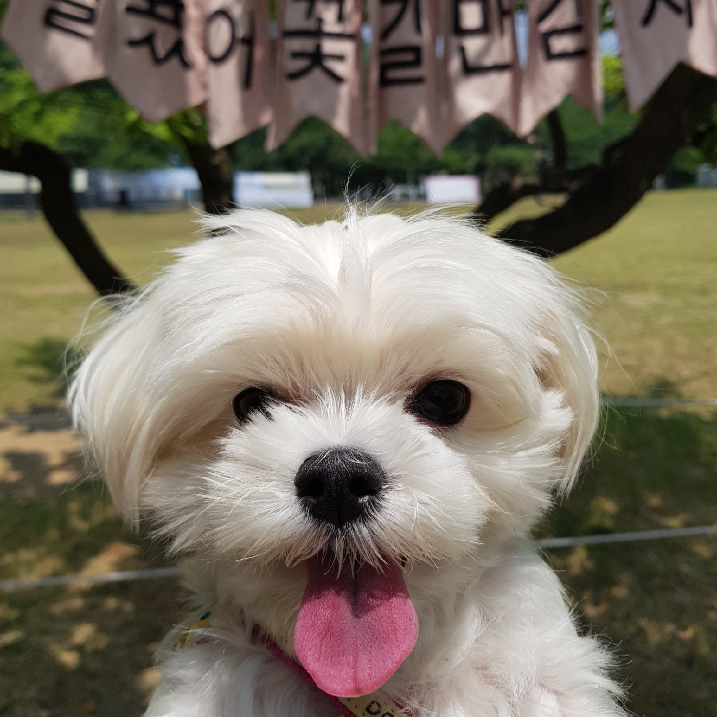 치즈무민 프로필
