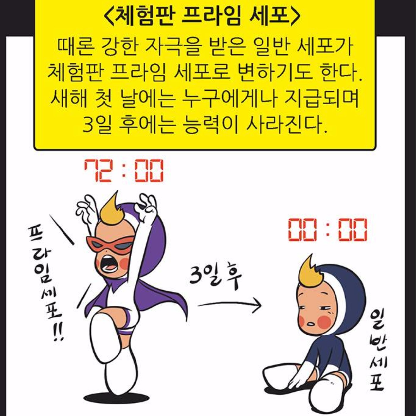 ring 프로필