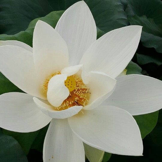 이정7942 프로필