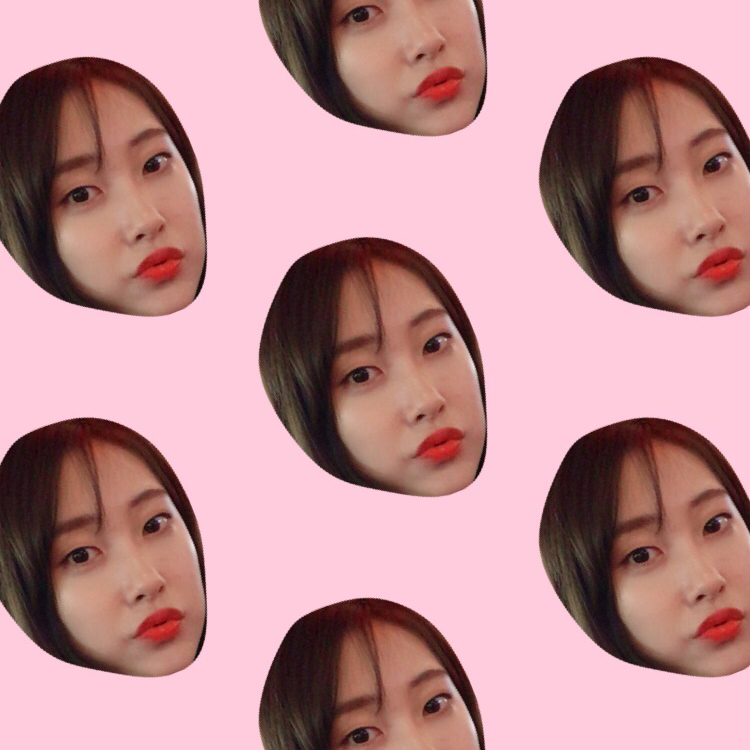 뷰블다니 프로필