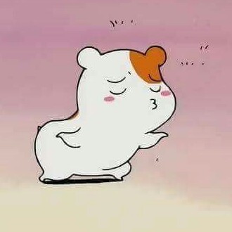 디지몬과친구들 프로필
