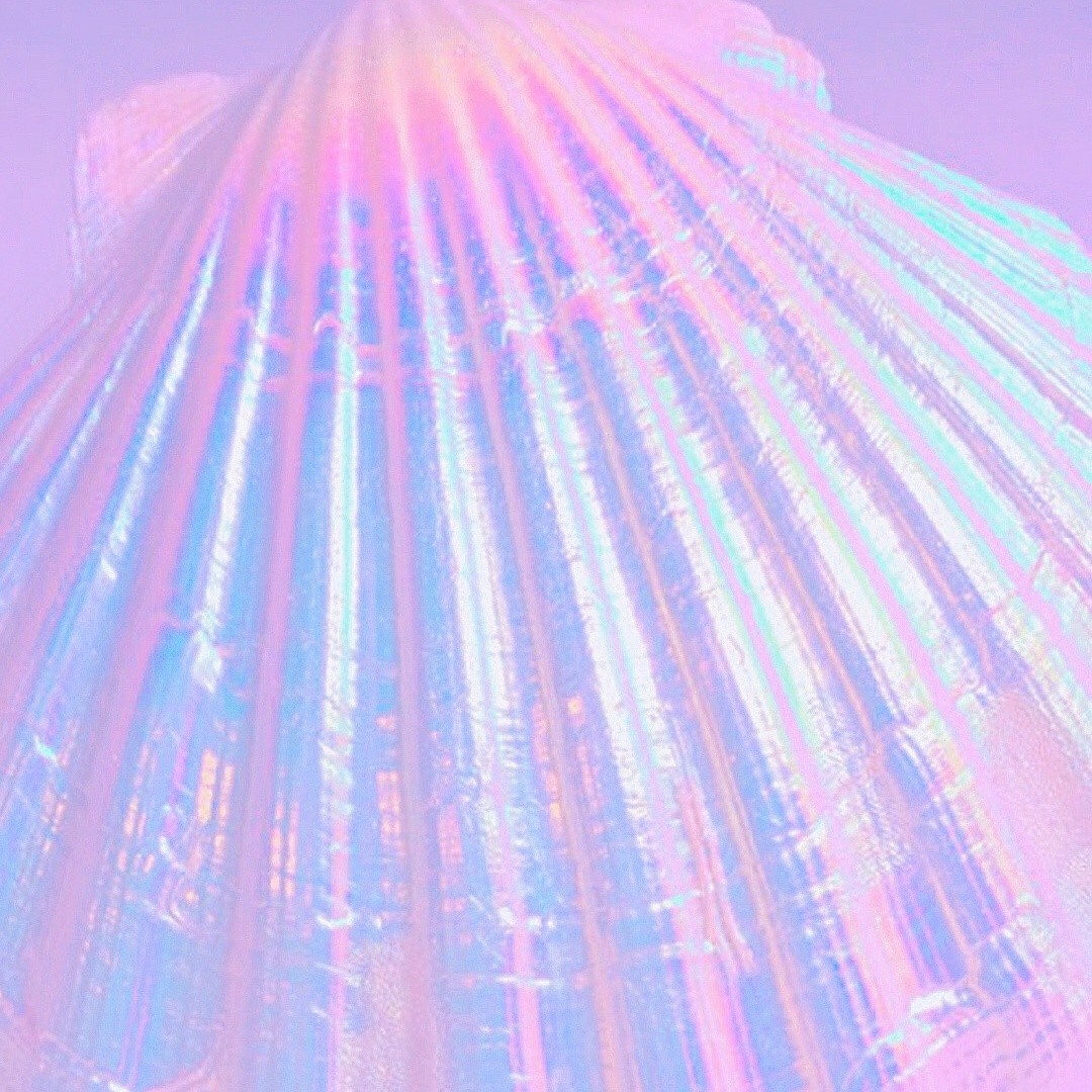쭉정 프로필