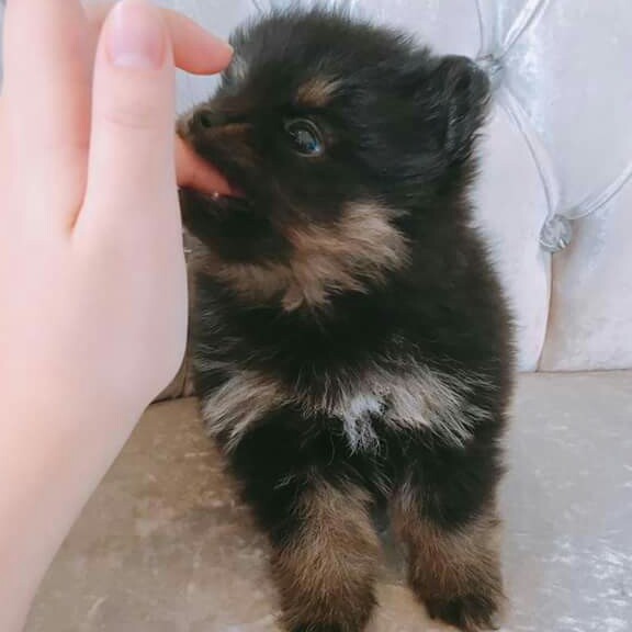 각수 프로필