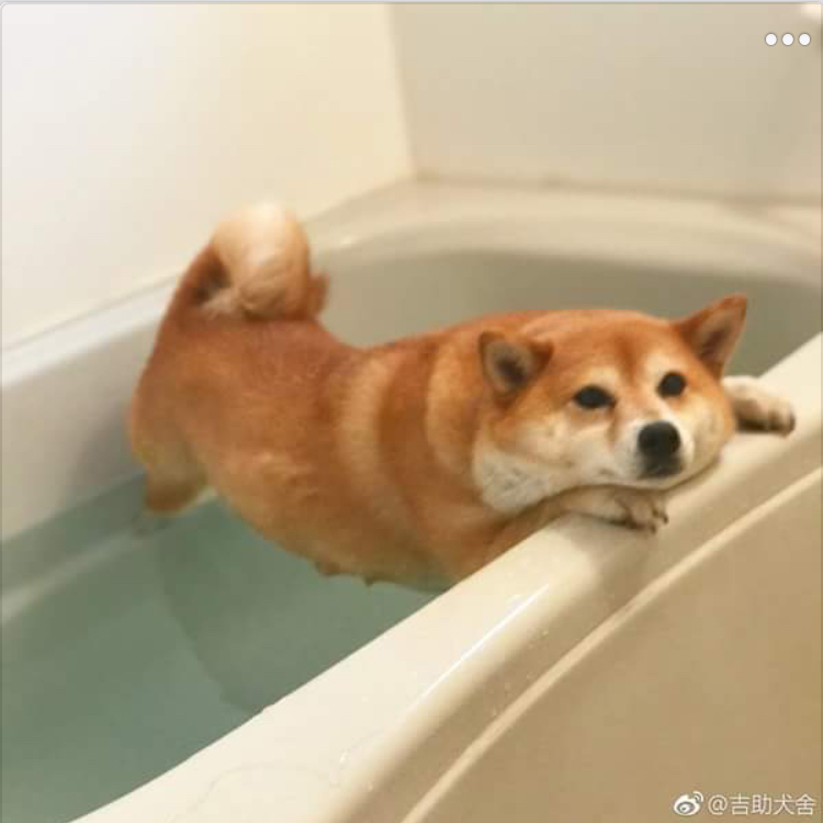 끄까까 프로필