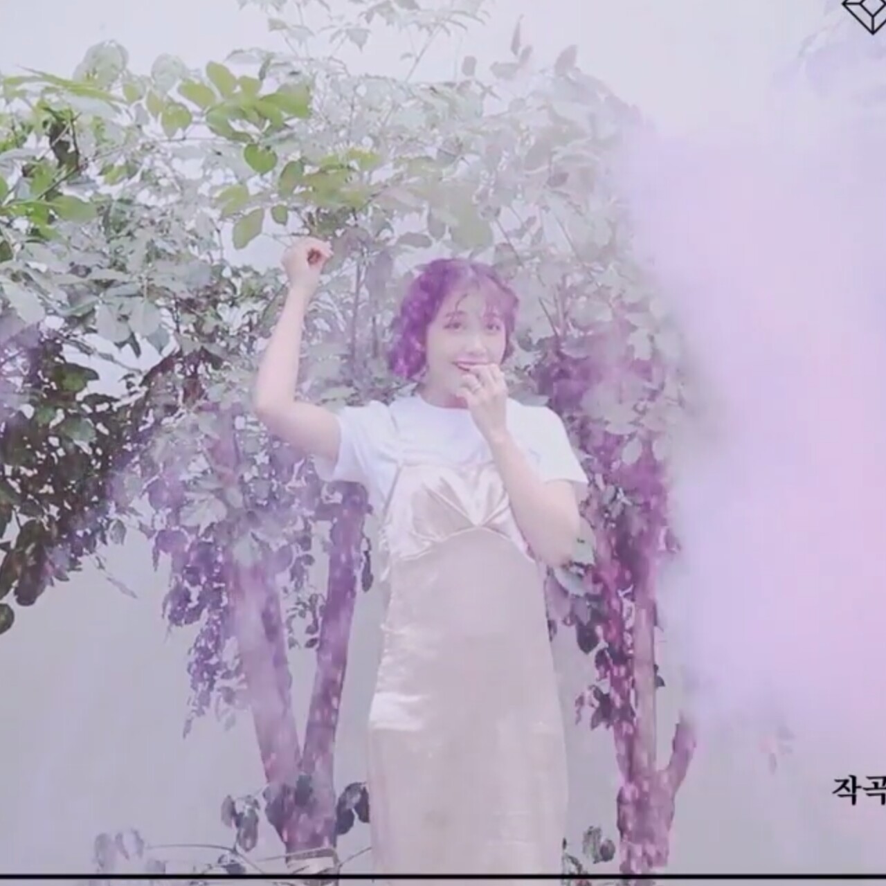 apink멍뭉디 프로필