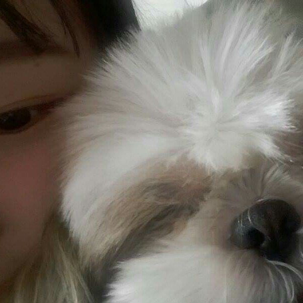 옐이업 프로필