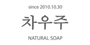 차우주 로고